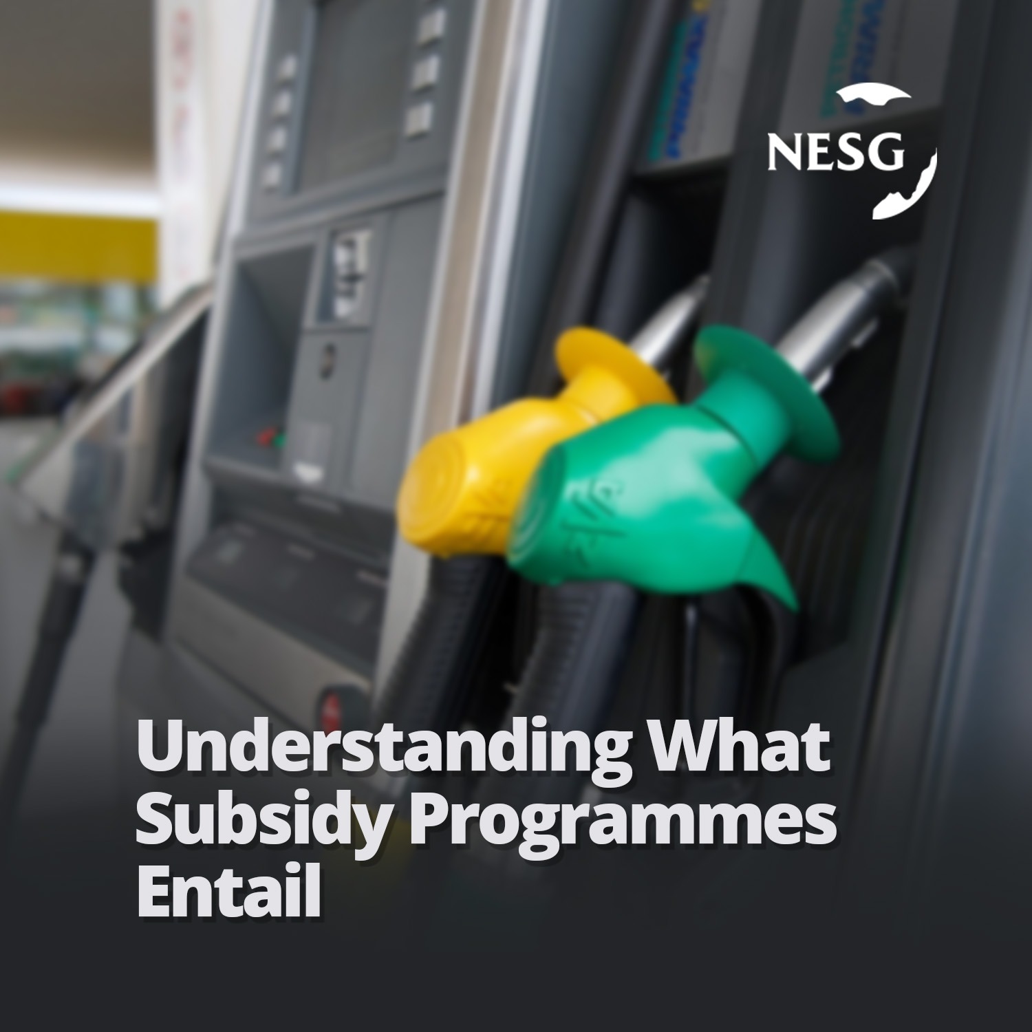 Understanding What Subsidy Programmes Entail